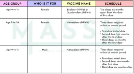 HPV Vaccine HPV