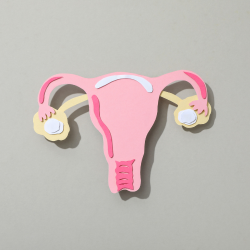Ovarian cancer (1) Ovarian cancer 1 1
