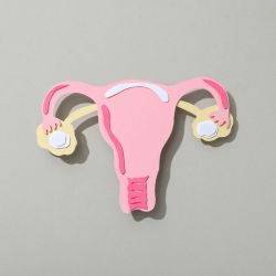 Vaginal cancer Treatment Vaginal Cancer