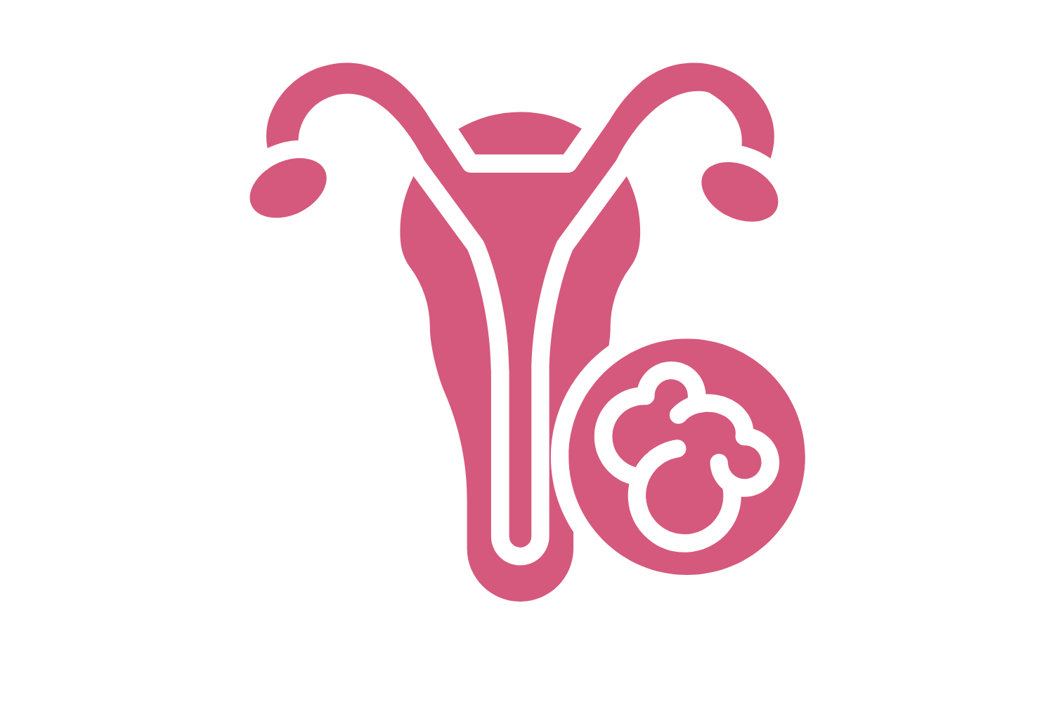 vaginal cancer vaginal cancer