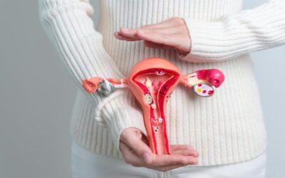 Heavy Periods and Pelvic Pressure Could Be Fibroids 